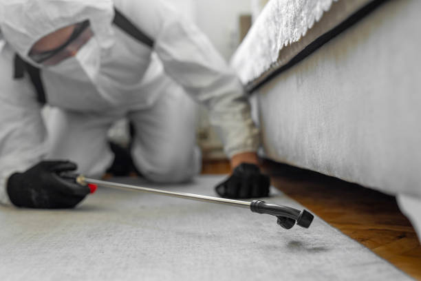 Professional Pest Control technician working in Clayton, MO