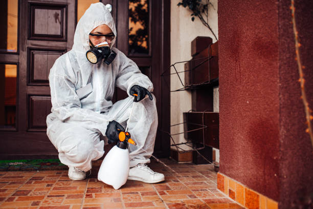 Reliable Termite Control contractor in Clayton, MO by Nex Pest Control