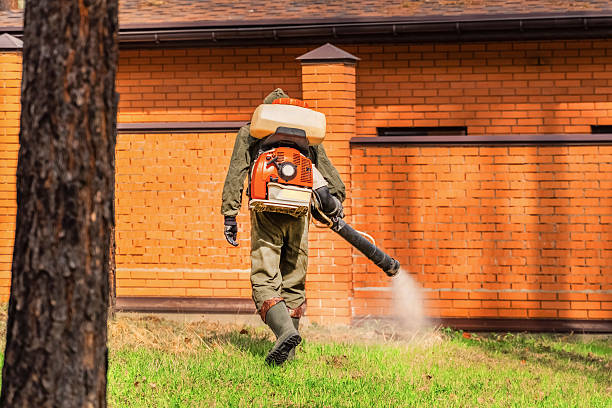 Trusted Termite Control service in Clayton, MO - Nex Pest Control